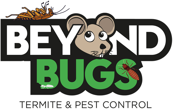 Beyond Bugs